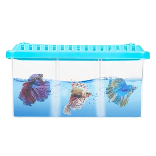 Qpets Desk Fish Tank with Air Ventilation Lid Transparent Desk Small Fish Tank with 3Pcs Dividing Inserts Desk Fish Tank -18x8.5x8.5cm Qpets Desk Fish Tank with Air Ventilation Lid Transparent Desk Small Fish Tank with 3Pcs Dividing Inserts Desk Fish Tank -18x8.5x8.5cm